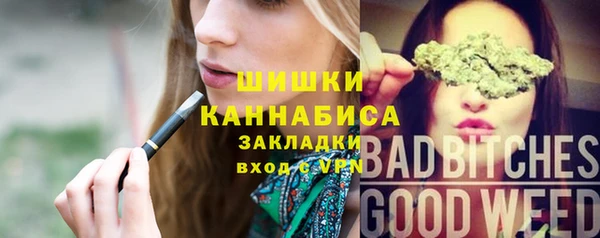 гашик Алексеевка