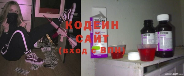 хмурый Алзамай