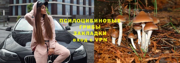 гашик Алексеевка