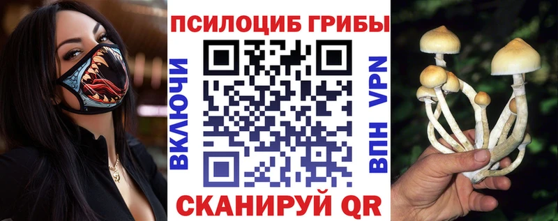 где продают Бабаево Галлюциногенные грибы Cubensis
