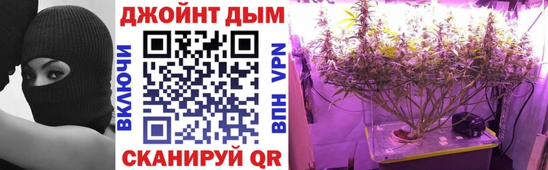 нарко площадка какой сайт  Бабаево  Конопля план 